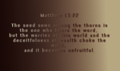 Matthew 13-22